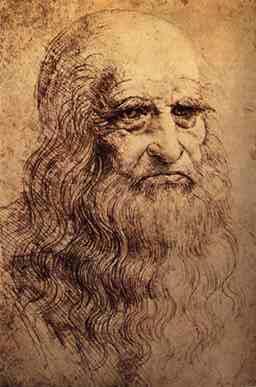 Possible Self Portrait of Leonardo da Vinci
